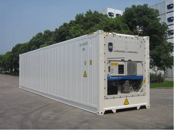 Container Frigorífico 1.jpg